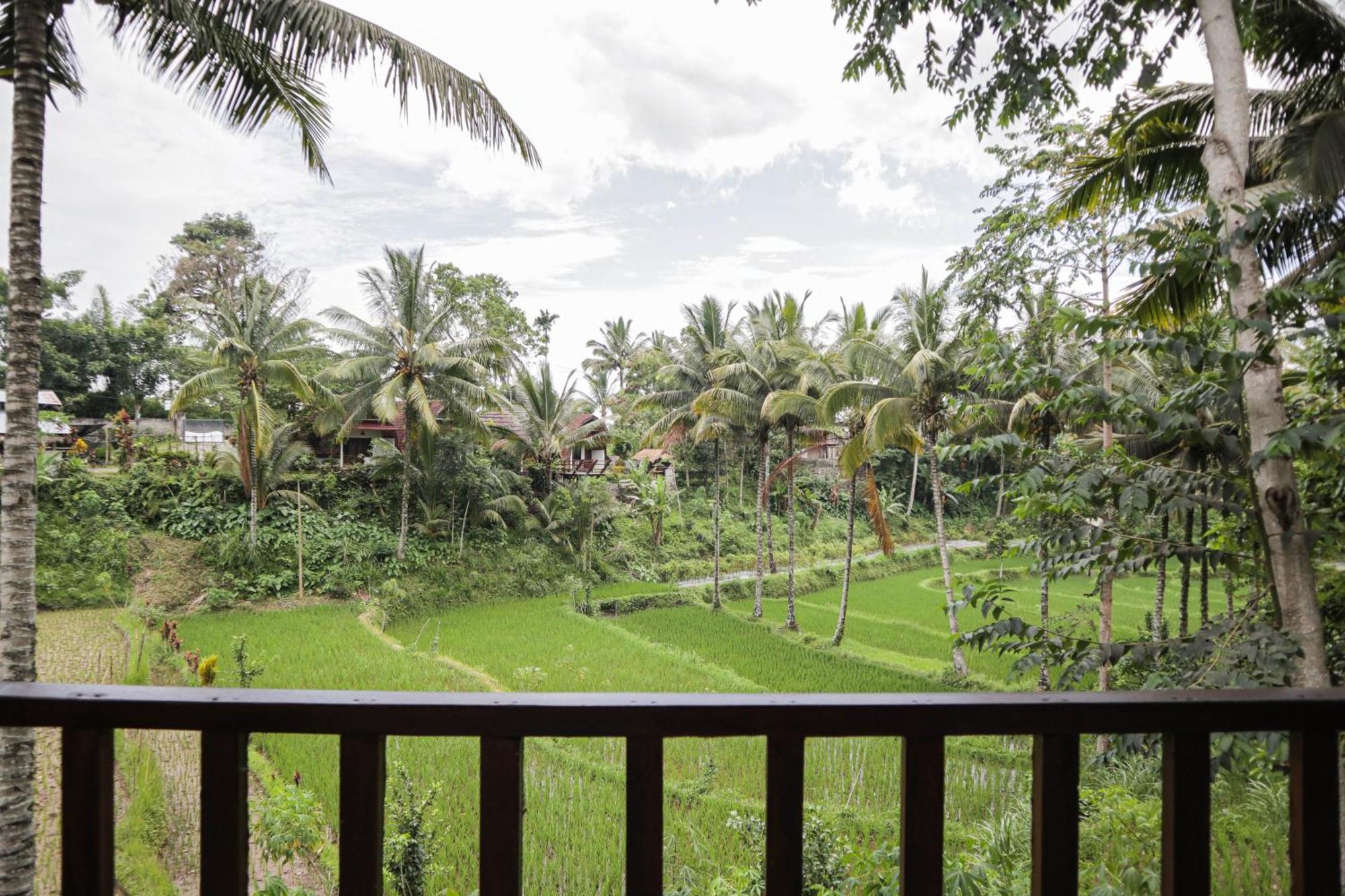 Nea Cottage Lombok Tetebatu Bagian luar foto