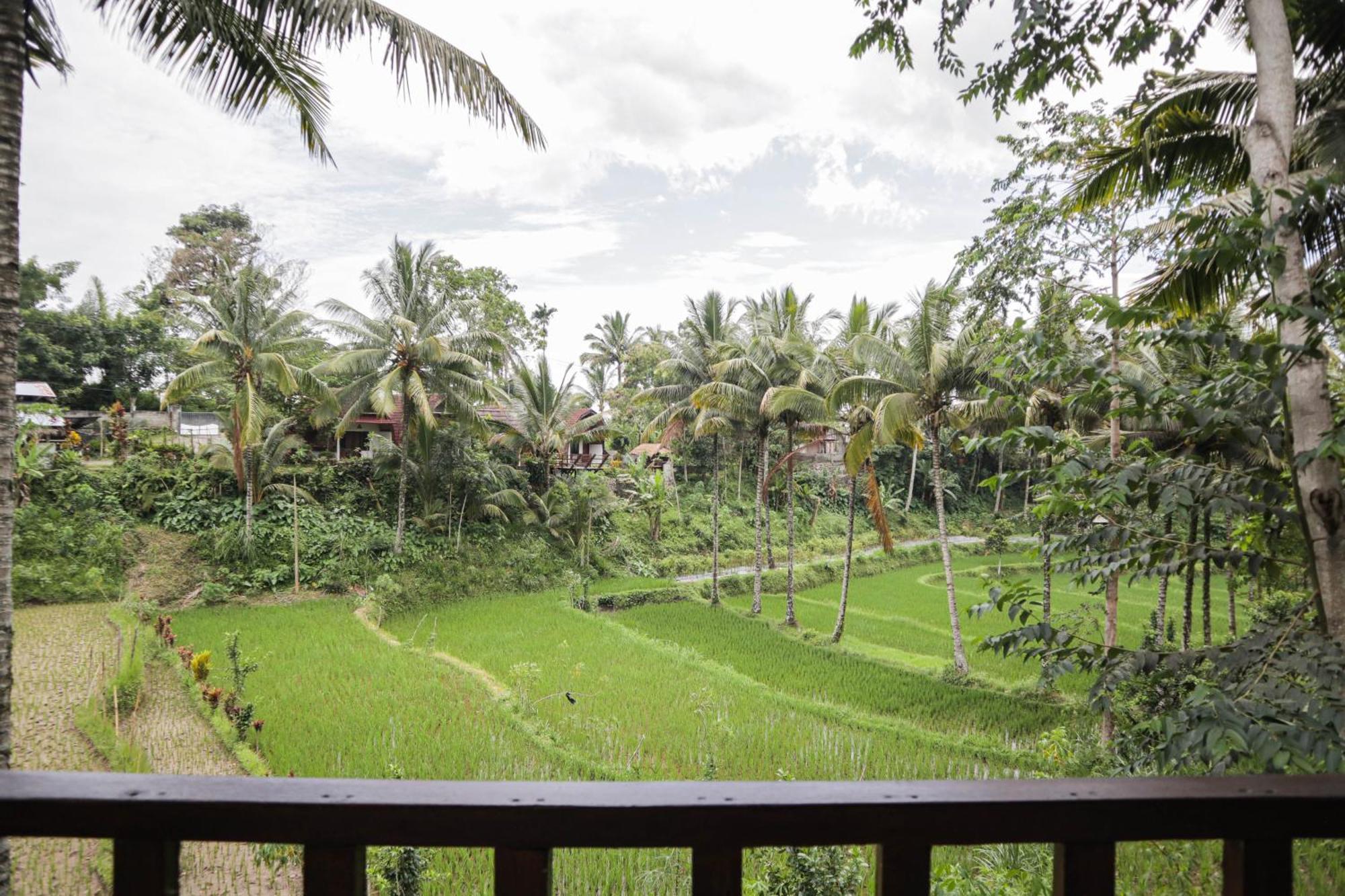 Nea Cottage Lombok Tetebatu Bagian luar foto