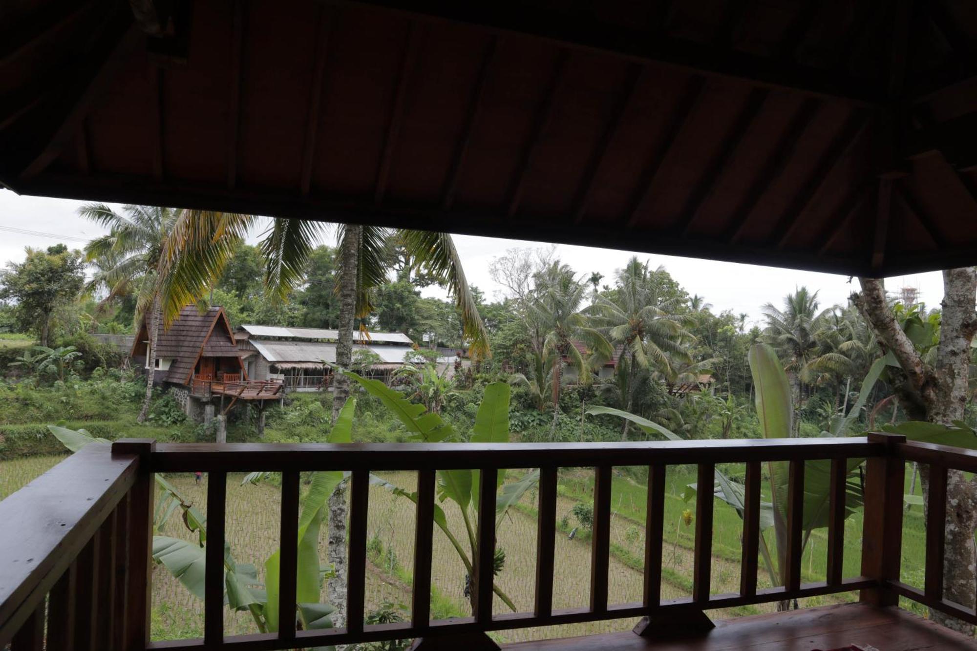Nea Cottage Lombok Tetebatu Bagian luar foto