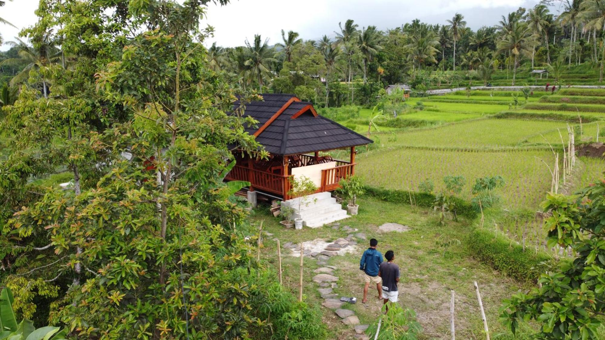 Nea Cottage Lombok Tetebatu Bagian luar foto