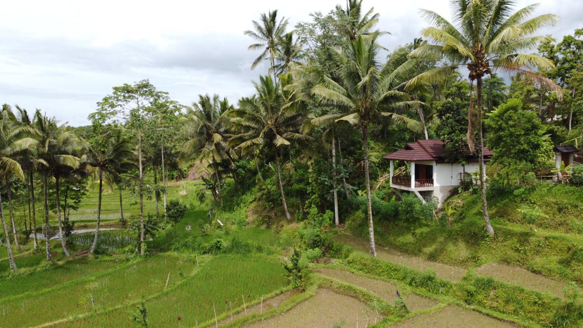 Nea Cottage Lombok Tetebatu Bagian luar foto