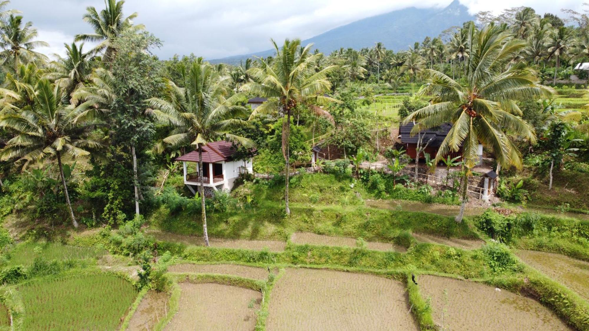 Nea Cottage Lombok Tetebatu Bagian luar foto