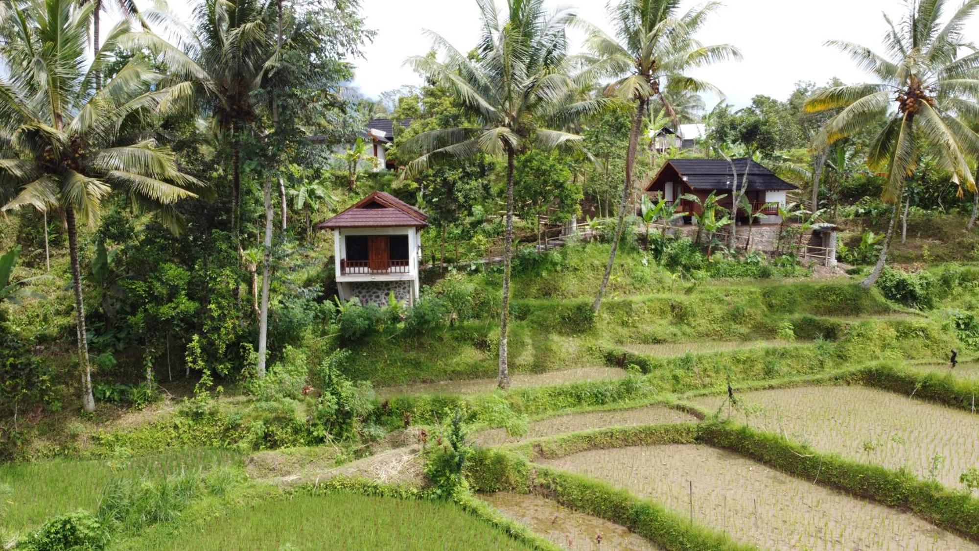 Nea Cottage Lombok Tetebatu Bagian luar foto