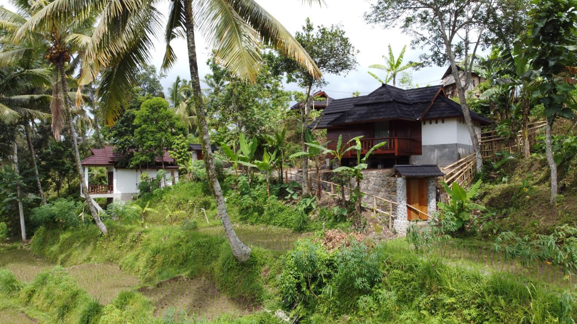 Nea Cottage Lombok Tetebatu Bagian luar foto
