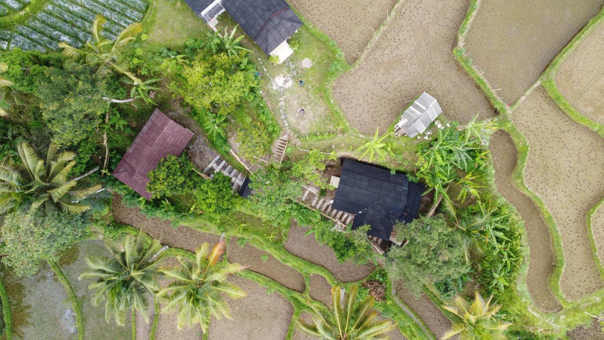 Nea Cottage Lombok Tetebatu Bagian luar foto