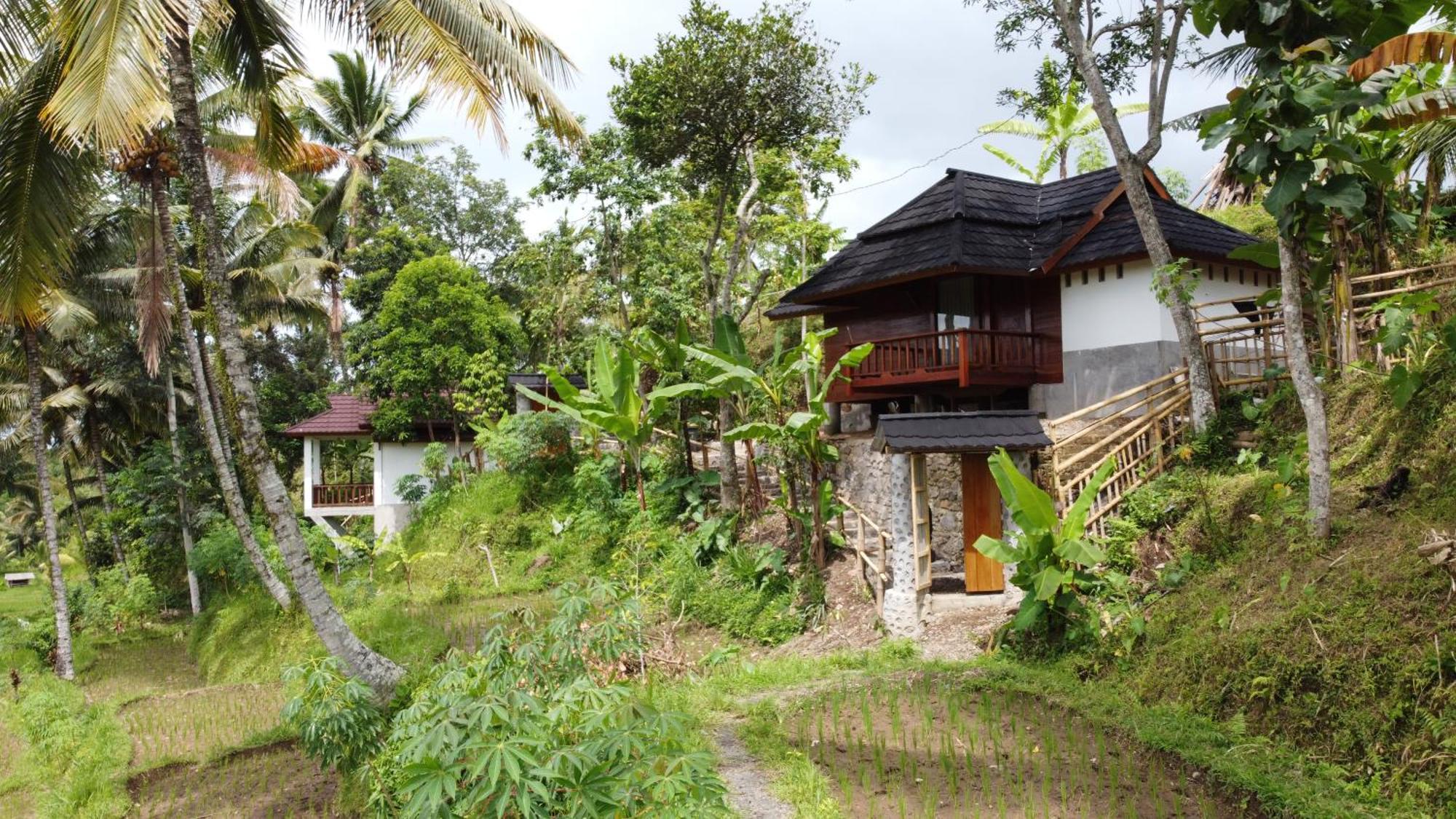 Nea Cottage Lombok Tetebatu Bagian luar foto