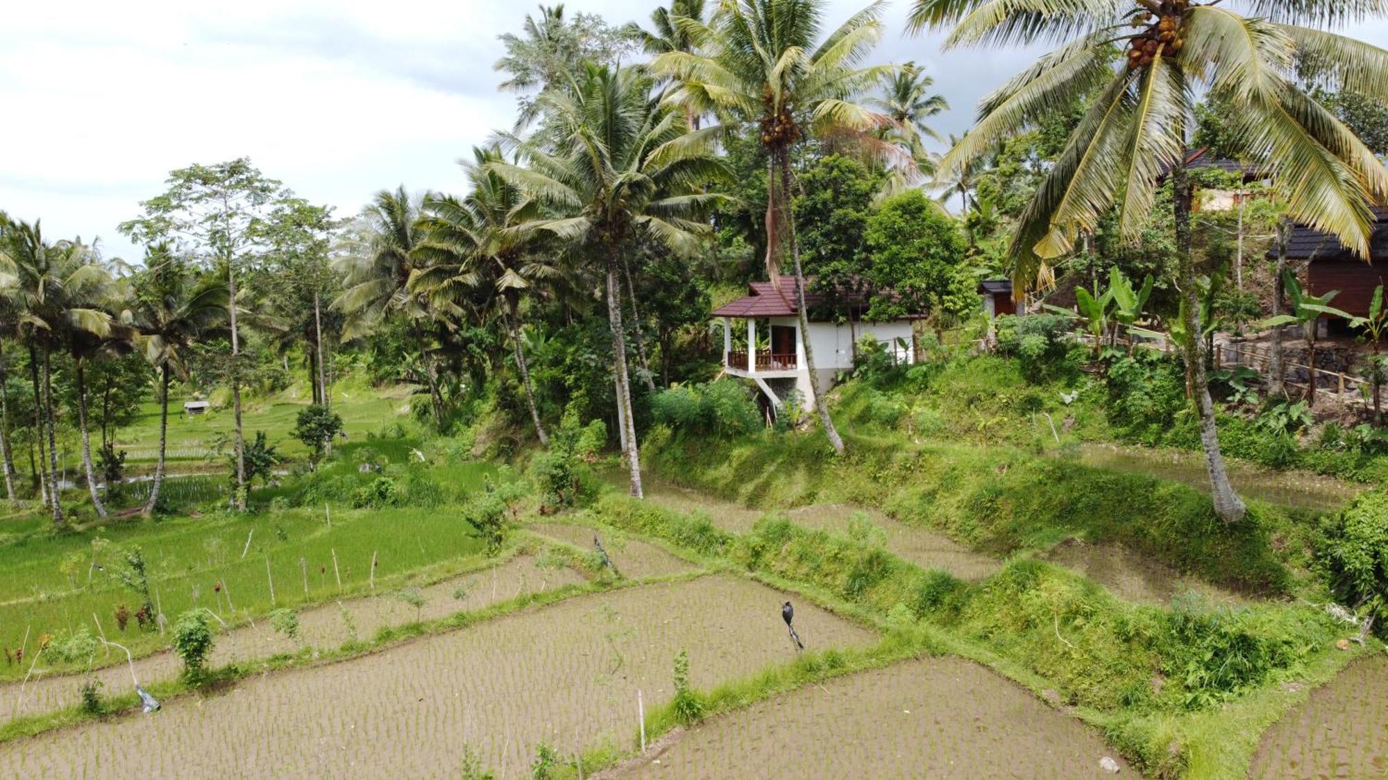 Nea Cottage Lombok Tetebatu Bagian luar foto