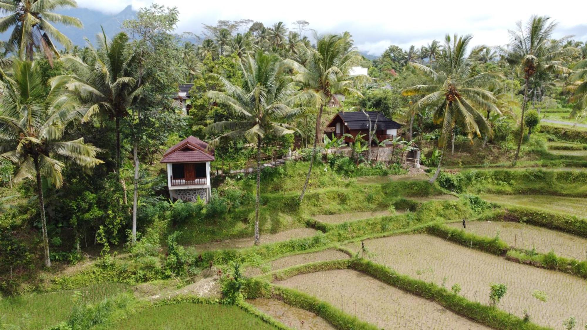 Nea Cottage Lombok Tetebatu Bagian luar foto