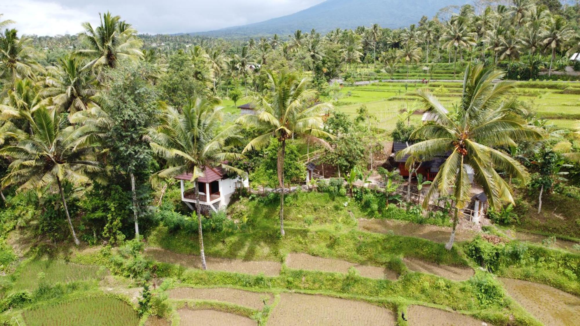 Nea Cottage Lombok Tetebatu Bagian luar foto