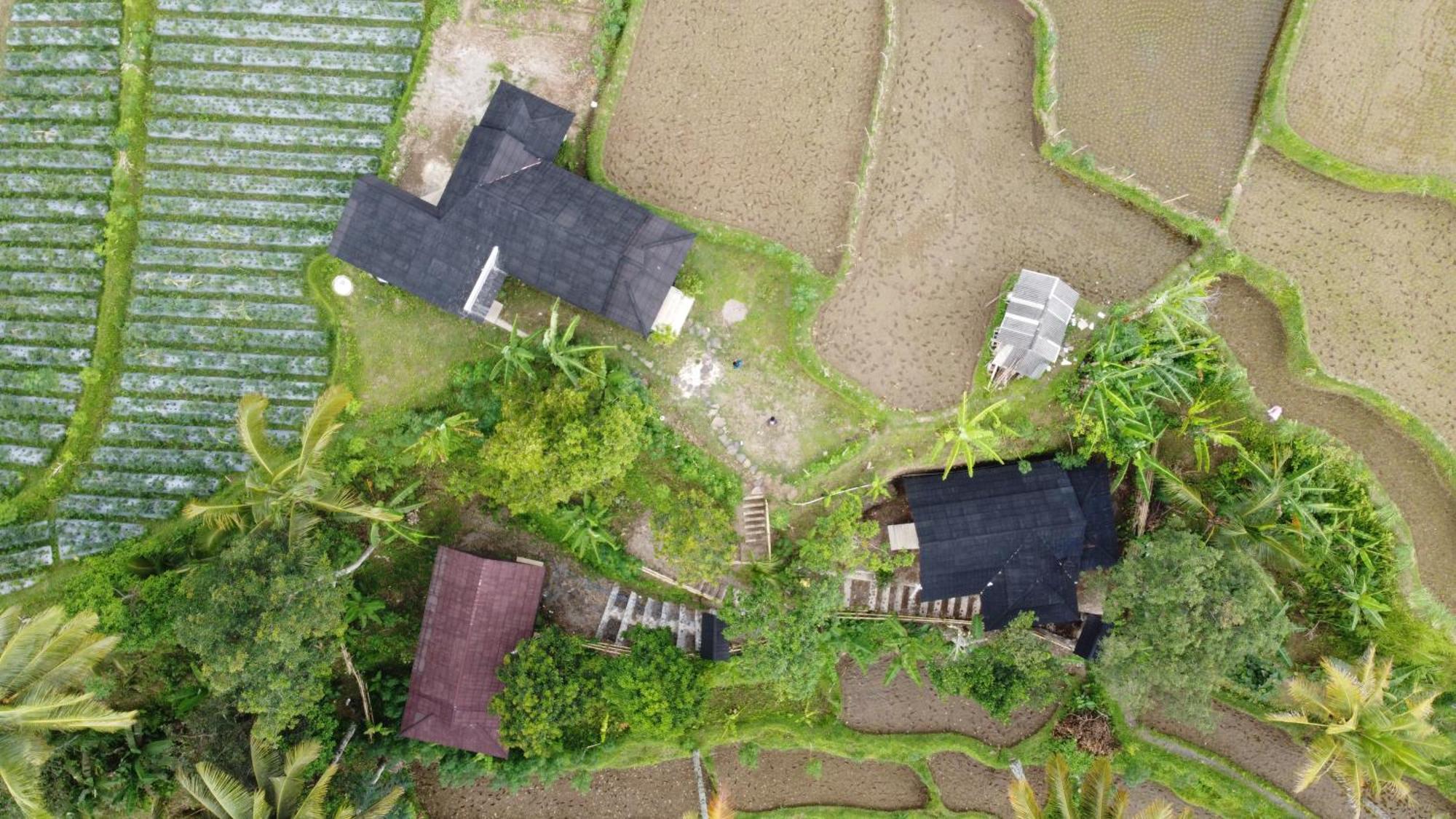 Nea Cottage Lombok Tetebatu Bagian luar foto