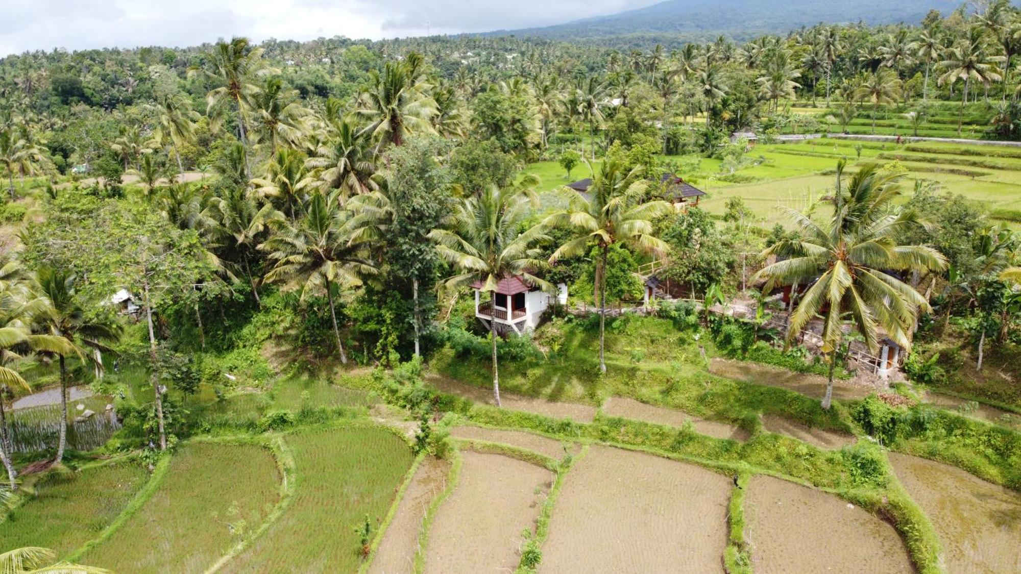 Nea Cottage Lombok Tetebatu Bagian luar foto