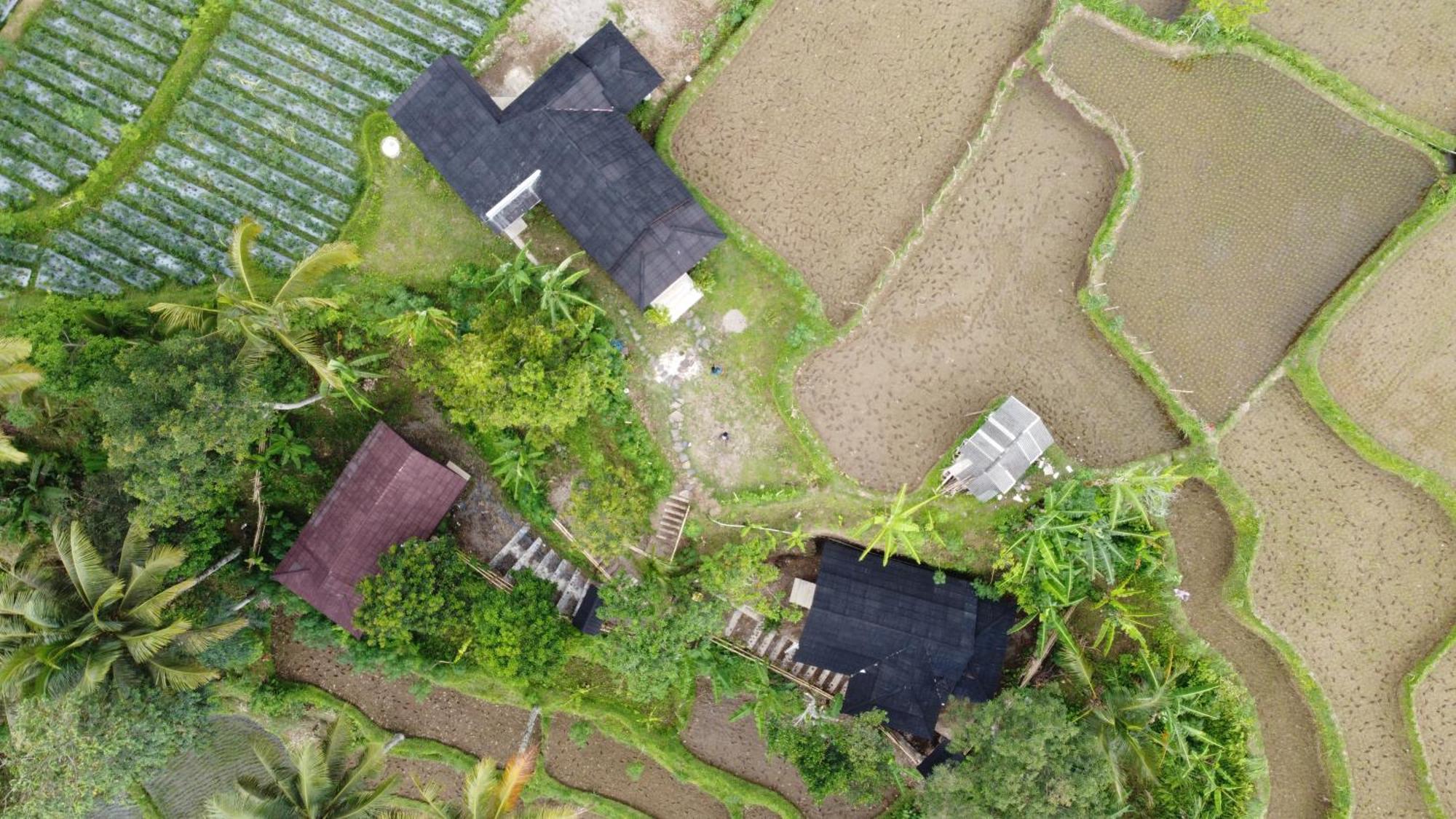 Nea Cottage Lombok Tetebatu Bagian luar foto