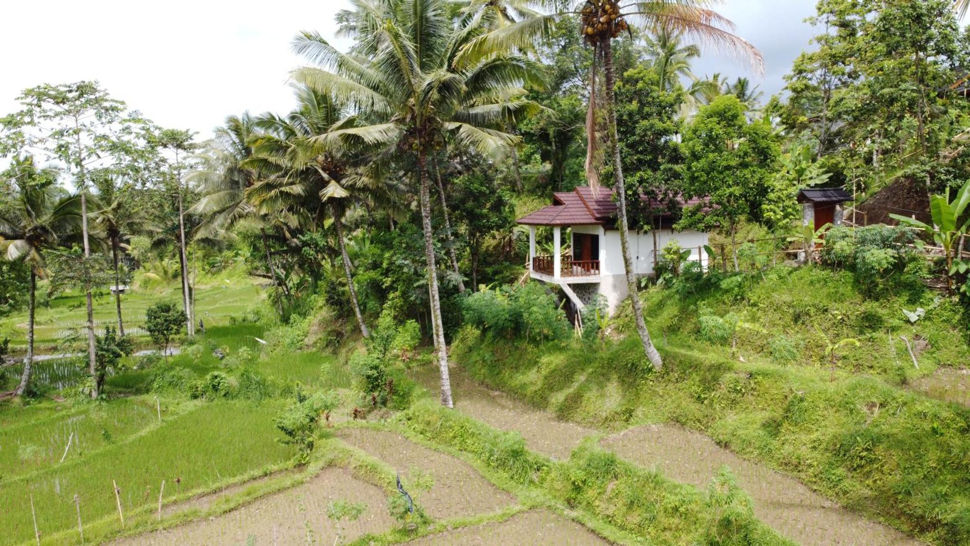 Nea Cottage Lombok Tetebatu Bagian luar foto
