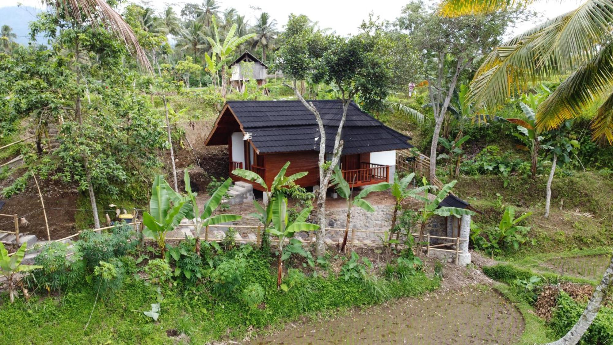 Nea Cottage Lombok Tetebatu Bagian luar foto