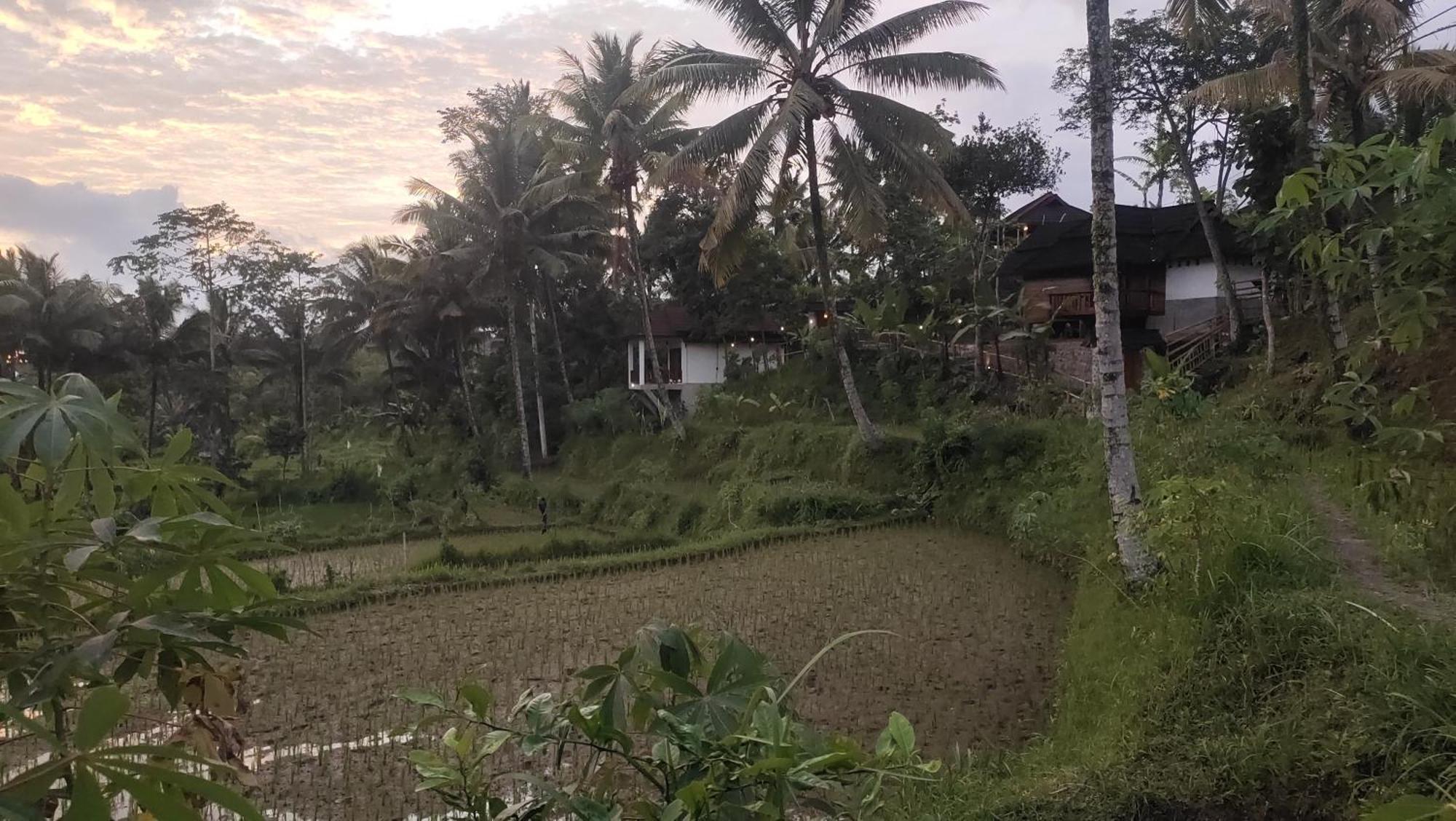 Nea Cottage Lombok Tetebatu Bagian luar foto