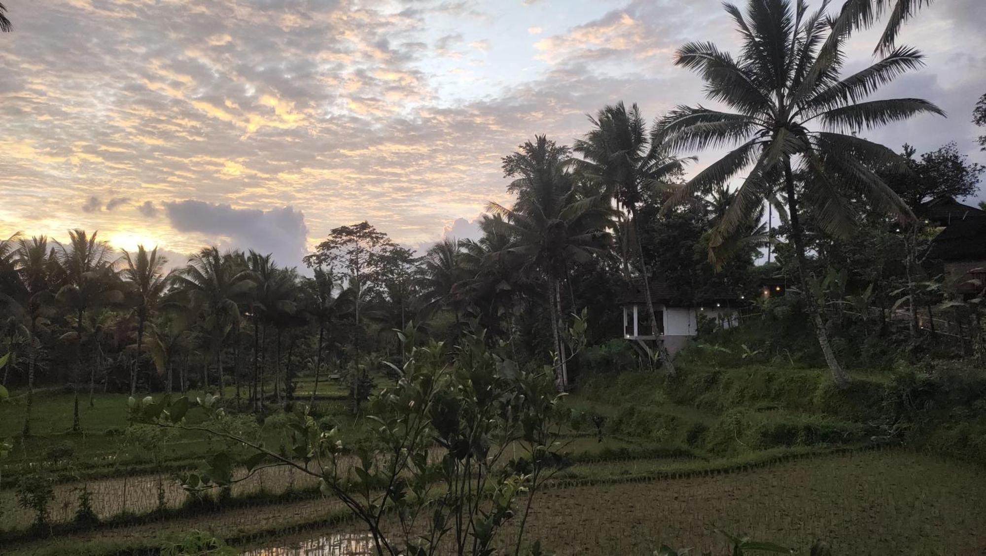 Nea Cottage Lombok Tetebatu Bagian luar foto