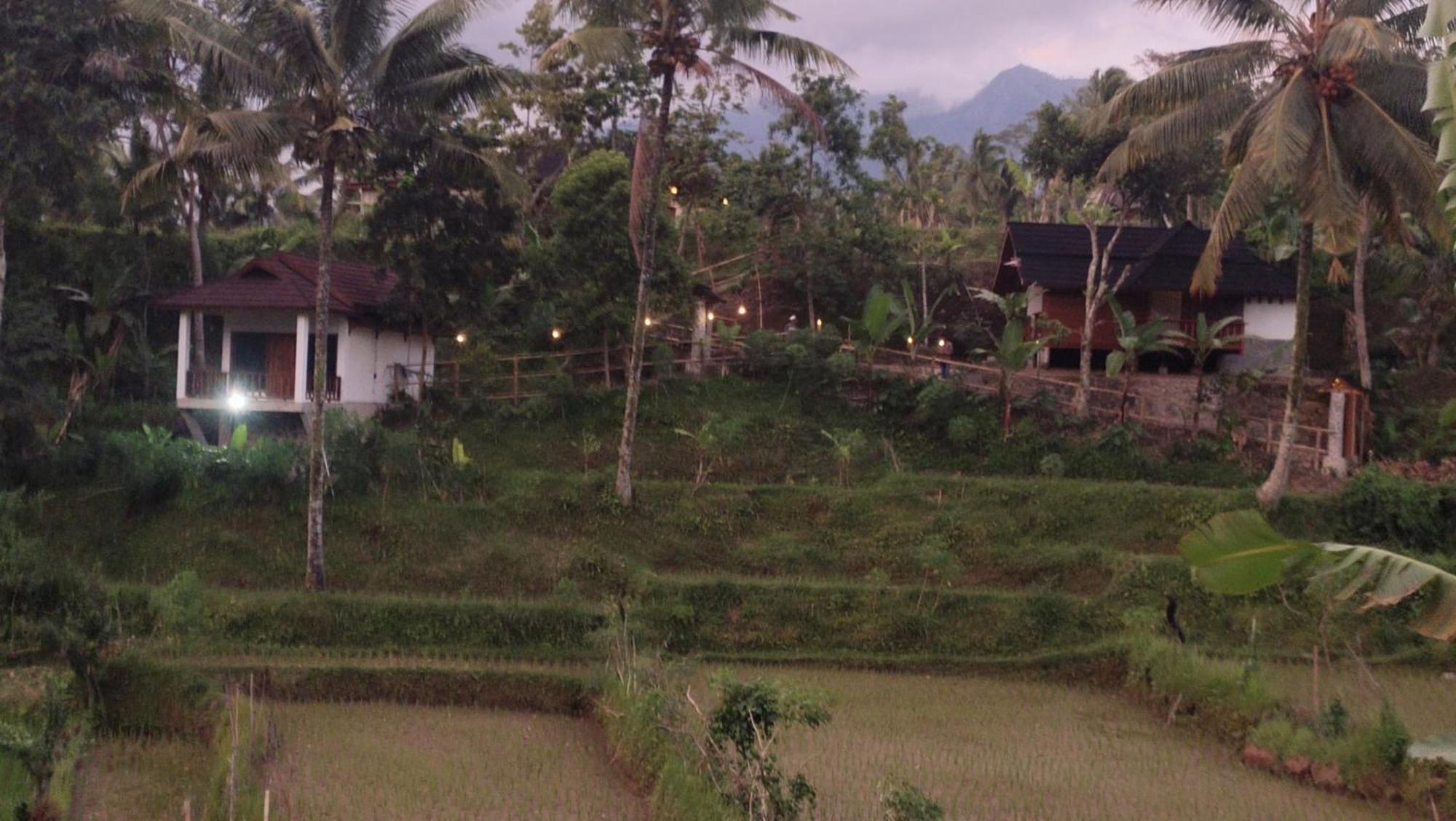 Nea Cottage Lombok Tetebatu Bagian luar foto