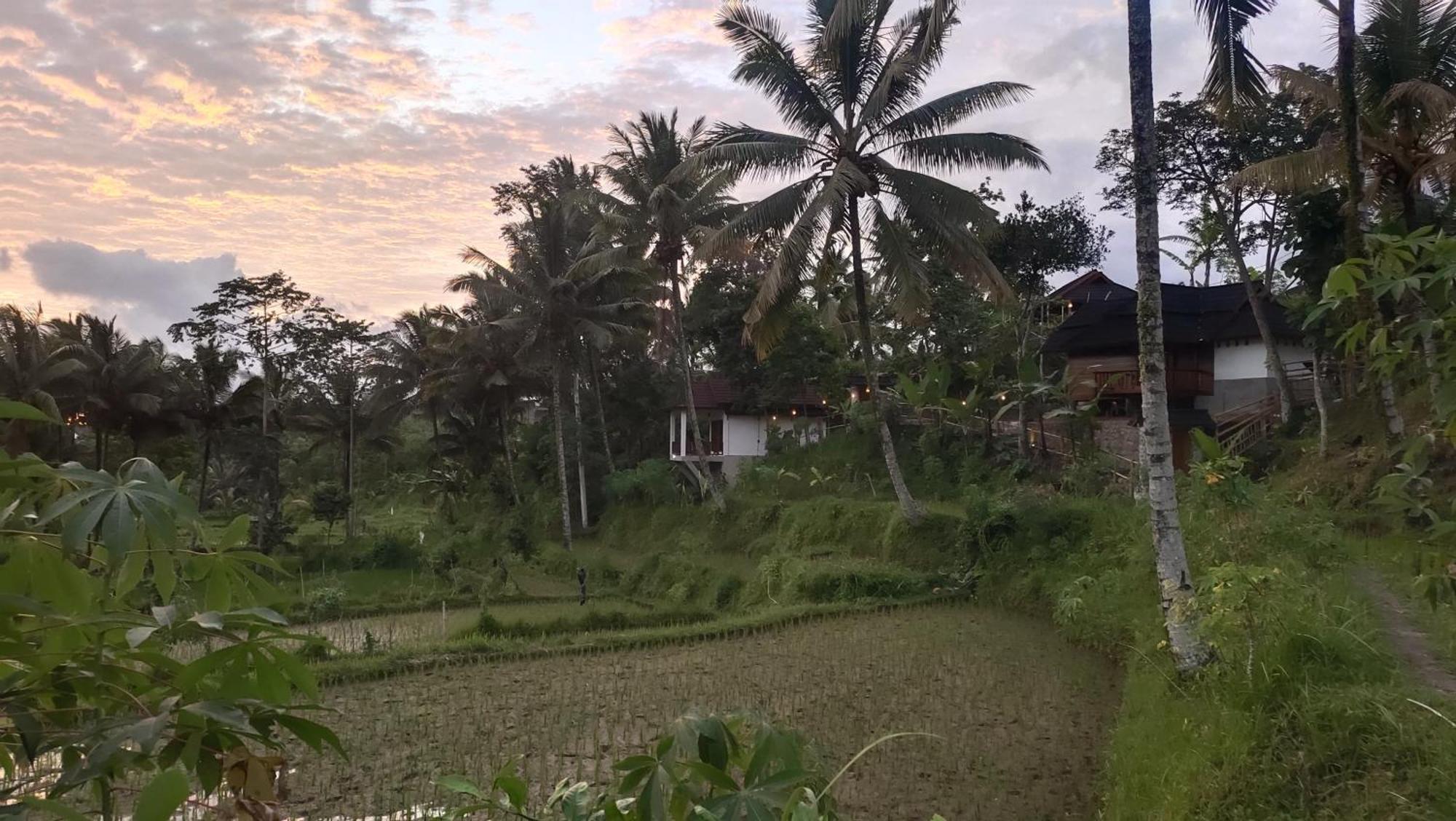Nea Cottage Lombok Tetebatu Bagian luar foto