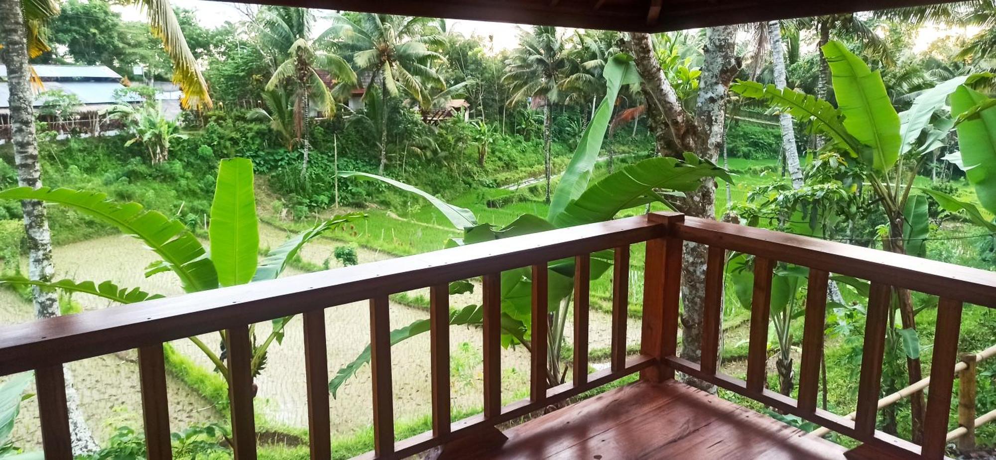 Nea Cottage Lombok Tetebatu Bagian luar foto